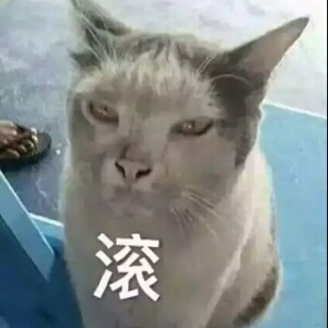 小当家